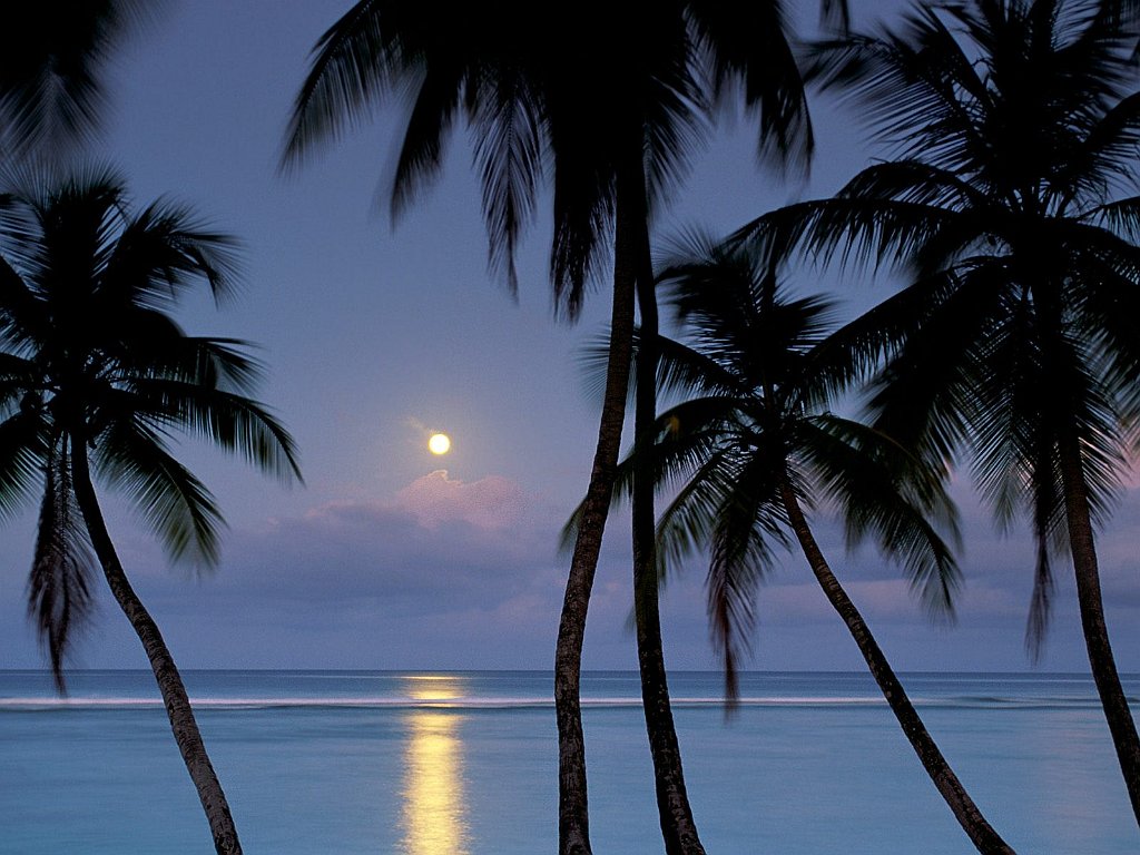 Full Moon, Pigeon Point, Tobago